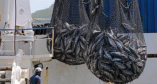 Pesca Predatória
